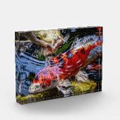 Japanischer Koi Fish Pond Fotoblock (Links)