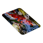 Japanischer Koi Fish Pond Magnet (Rechte Seite)