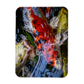 Japanischer Koi Fish Pond Magnet (Vertikal)