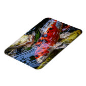 Japanischer Koi Fish Pond Magnet (Linke Seite)