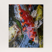 Japanischer Koi Fish Pond Puzzle (Vertikal)