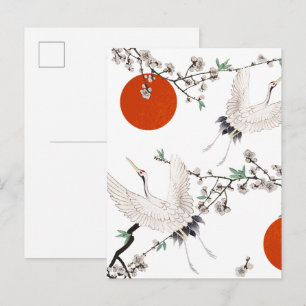 Japanischer Kranich mit Pflaumenblütenmuster Postkarte