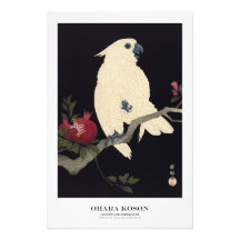 Japanischer Kunstdruck – Ohara Koson – Kakadu