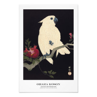 Japanischer Kunstdruck – Ohara Koson – Kakadu Fotodruck