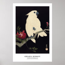 Japanischer Kunstdruck – Ohara Koson – Kakadu