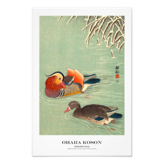 Japanischer Kunstdruck – Ohara Koson – Mandarinent Fotodruck