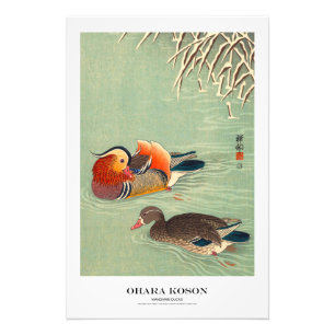 Japanischer Kunstdruck – Ohara Koson – Mandarinent Fotodruck