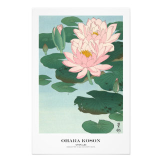 Japanischer Kunstdruck – Ohara Koson – Seerosen Fotodruck