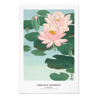 Japanischer Kunstdruck – Ohara Koson – Seerosen Fotodruck