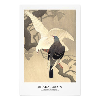 Japanischer Kunstdruck – Ohara Koson – Tauben Fotodruck
