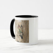 Japanischer Macaque-kletternder Baum, Blätter Tasse (Vorderseite Links)