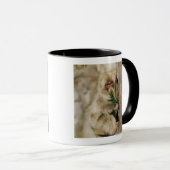 Japanischer Macaque-kletternder Baum, Blätter Tasse (VorderseiteRechts)