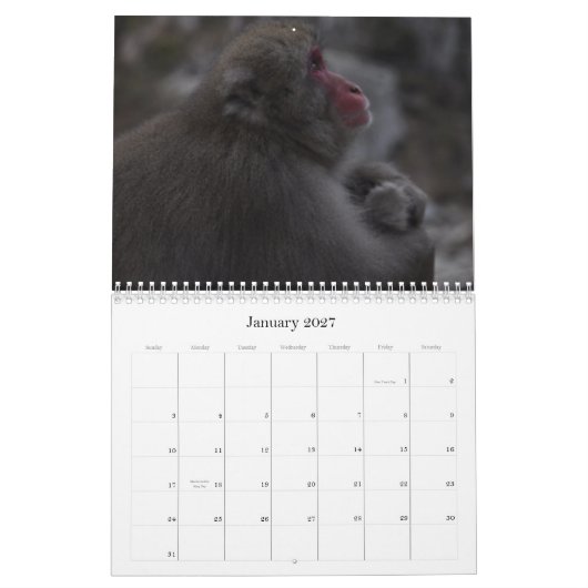 Japanischer Macaques-Kalender Kalender (Jan 2027)