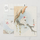 Japanischer Makak Postkarte (Vorne/Hinten)