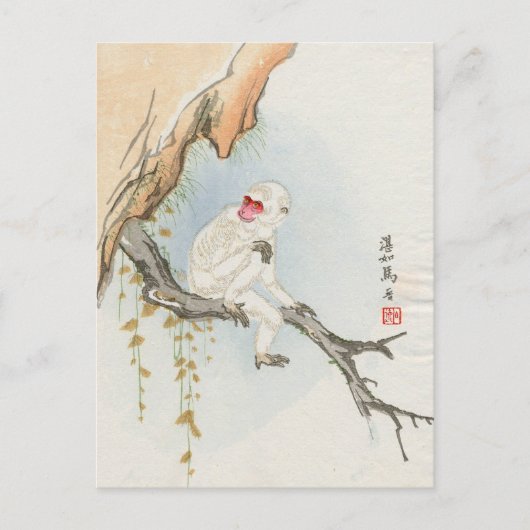 Japanischer Makak Postkarte (Vorderseite)