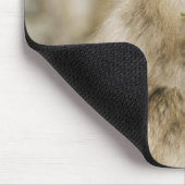Japanischer Makaken Kletterbaum, der Blätter isst Mousepad (Ecke)