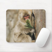 Japanischer Makaken Kletterbaum, der Blätter isst Mousepad (Mit Mouse)