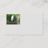 Japanischer orange Koi Fisch-Lotus-Garten-Teich Visitenkarte (Rückseite)