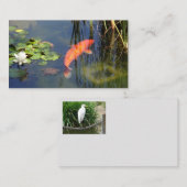 Japanischer orange Koi Fisch-Lotus-Garten-Teich Visitenkarte (Vorne/Hinten)