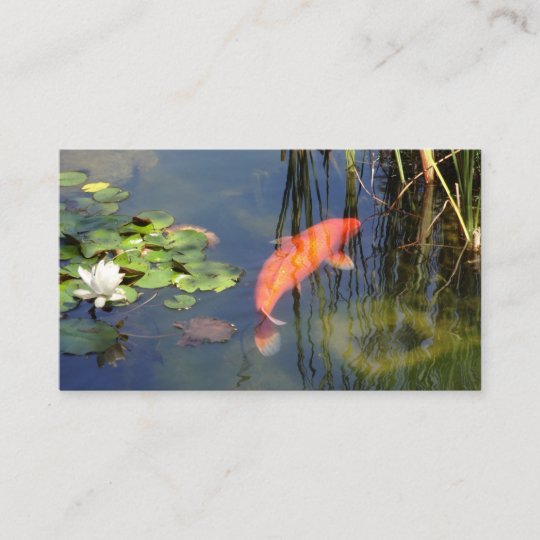 Japanischer Orange Koi Fisch Lotus Garten Teich Visitenkarte Zazzle De