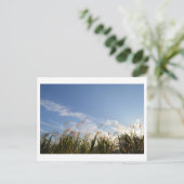 Japanischer Pampas Grass (Susuki) Postkarte (Stehend Vorderseite)