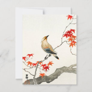 Japanischer Pestvogel Ohara Koson Vintage Art Card