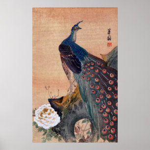 Japanischer Pfau no.1 Poster