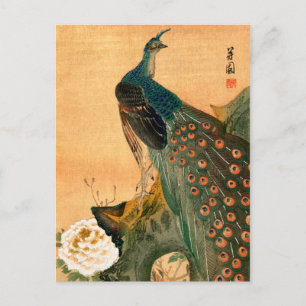 Japanischer Pfau Nr. 2 Postkarte