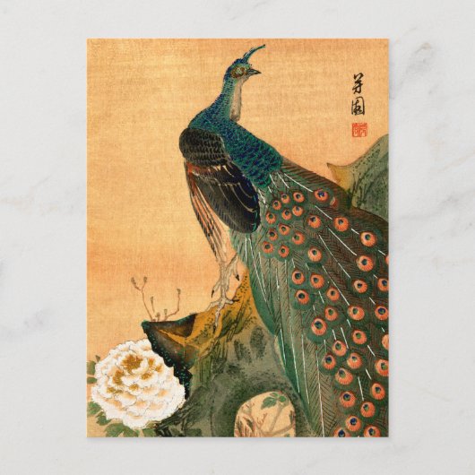 Japanischer Pfau Nr. 2 Postkarte (Vorderseite)