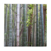 Japanischer Riesenwald, Sagano, Kyoto, Japan Fliese (Vorderseite)