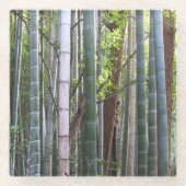 Japanischer Riesenwald, Sagano, Kyoto, Japan Glasuntersetzer (Vorderseite)