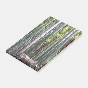 Japanischer Riesenwald, Sagano, Kyoto, Japan Post-it Klebezettel