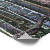 Japanischer Riesenwald, Sagano, Kyoto, Japan Poster (Ecke)