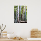Japanischer Riesenwald, Sagano, Kyoto, Japan Poster (Küche)