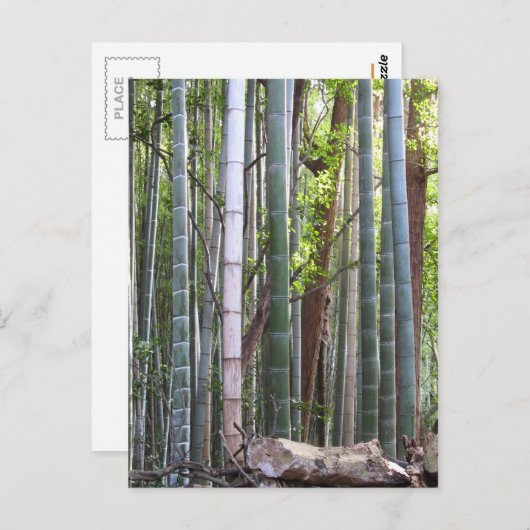 Japanischer Riesenwald, Sagano, Kyoto, Japan Postkarte (Vorne/Hinten)