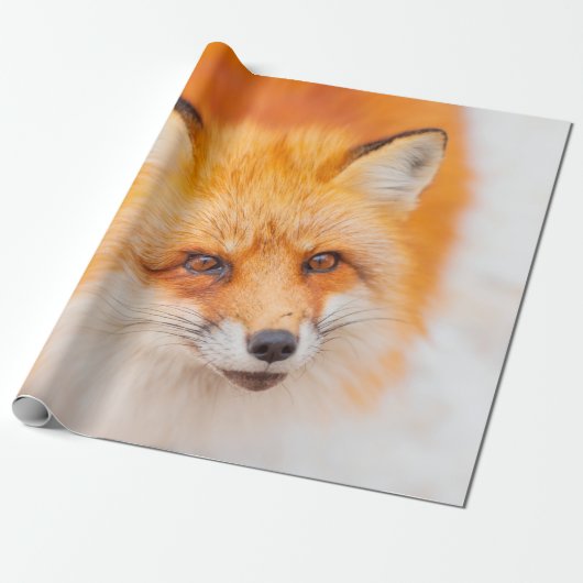 Japanischer Roter Fuchs, der ruht, schläft und spi Geschenkpapier (Ungerollt)