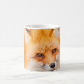 Japanischer Roter Fuchs, der ruht, schläft und spi Kaffeetasse (Mittel)
