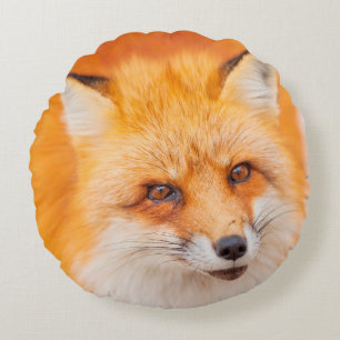 Japanischer Roter Fuchs, der ruht, schläft und spi Rundes Kissen