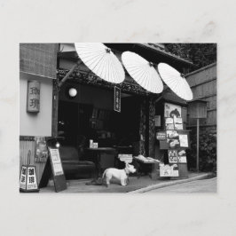 Japanischer Schirmladen Postkarte