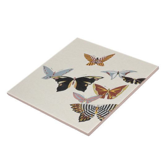 Japanischer Schmetterling TC22-04 Fliese (Seite)