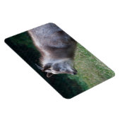 Japanischer Serow Magnet (Rechte Seite)