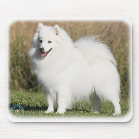 Japanischer Spitz 9Y576D-261 Mousepad (Vorne)