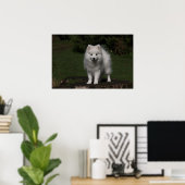 Japanischer Spitz/Amerikanischer Eskimo-Welpe Poster (Heimbüro)