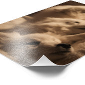 Japanischer Spitz / amerikanisches Eskimo-Poster Fotodruck (Ecke)