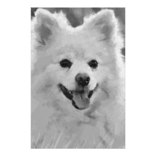 Japanischer Spitz Fotodruck