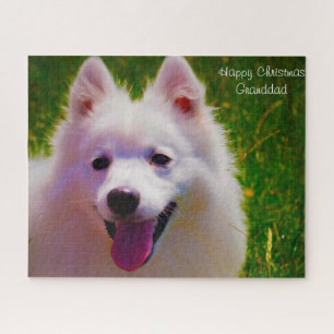 Japanischer Spitz Hund. Puzzle