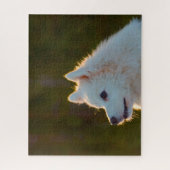 Japanischer Spitz Hund. Puzzle (Vertikal)