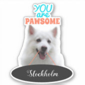 Japanischer Spitz Orange Pawsome Vinyl Stickers Aufkleber (Vorderseite)