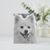 Japanischer Spitz Postkarte (Stehend Vorderseite)