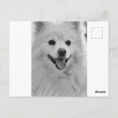Japanischer Spitz Postkarte (Rückseite)